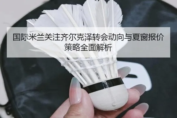 国际米兰关注齐尔克泽转会动向与夏窗报价策略全面解析