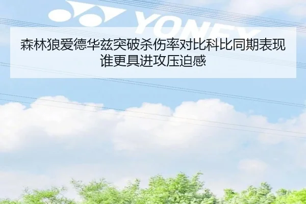森林狼爱德华兹突破杀伤率对比科比同期表现谁更具进攻压迫感